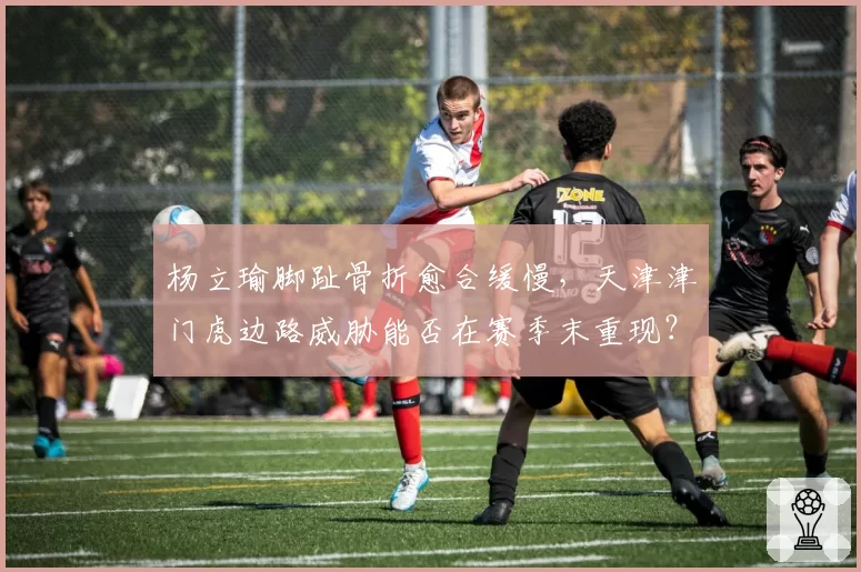 杨立瑜脚趾骨折愈合缓慢，天津津门虎边路威胁能否在赛季末重现？