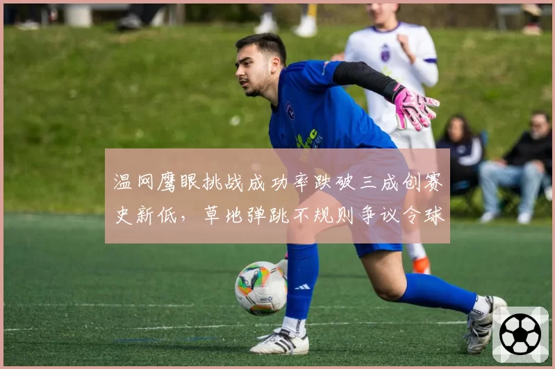温网鹰眼挑战成功率跌破三成创赛史新低，草地弹跳不规则争议令球员炮轰系统失真__br_